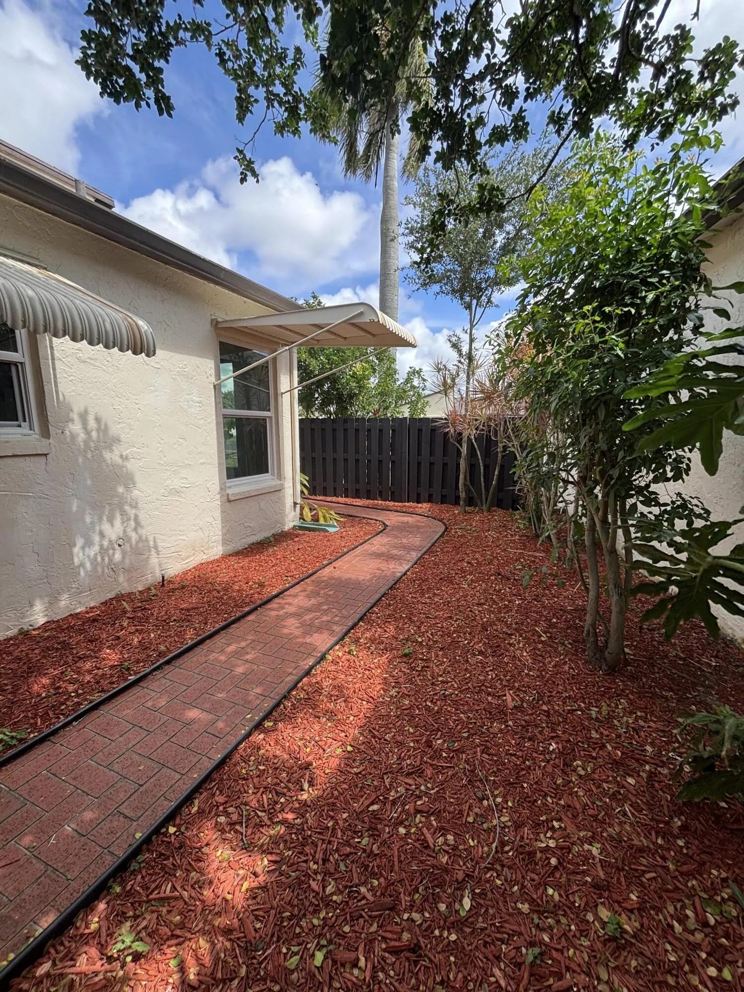 IMG_0302