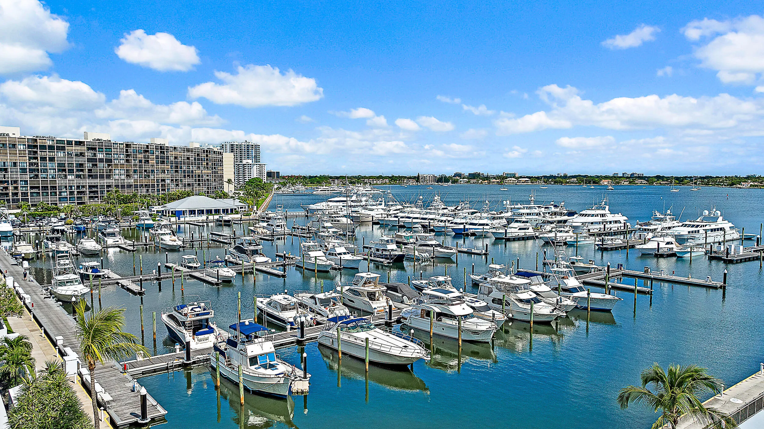 Main Marina Views