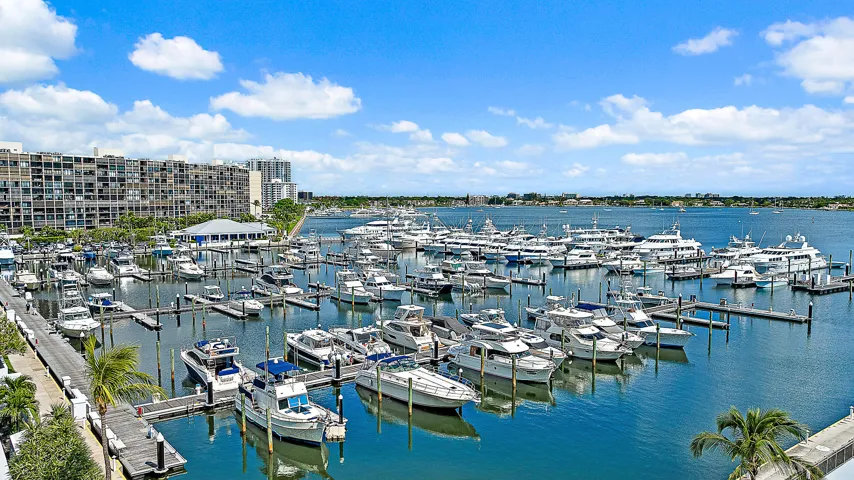 Main Marina Views
