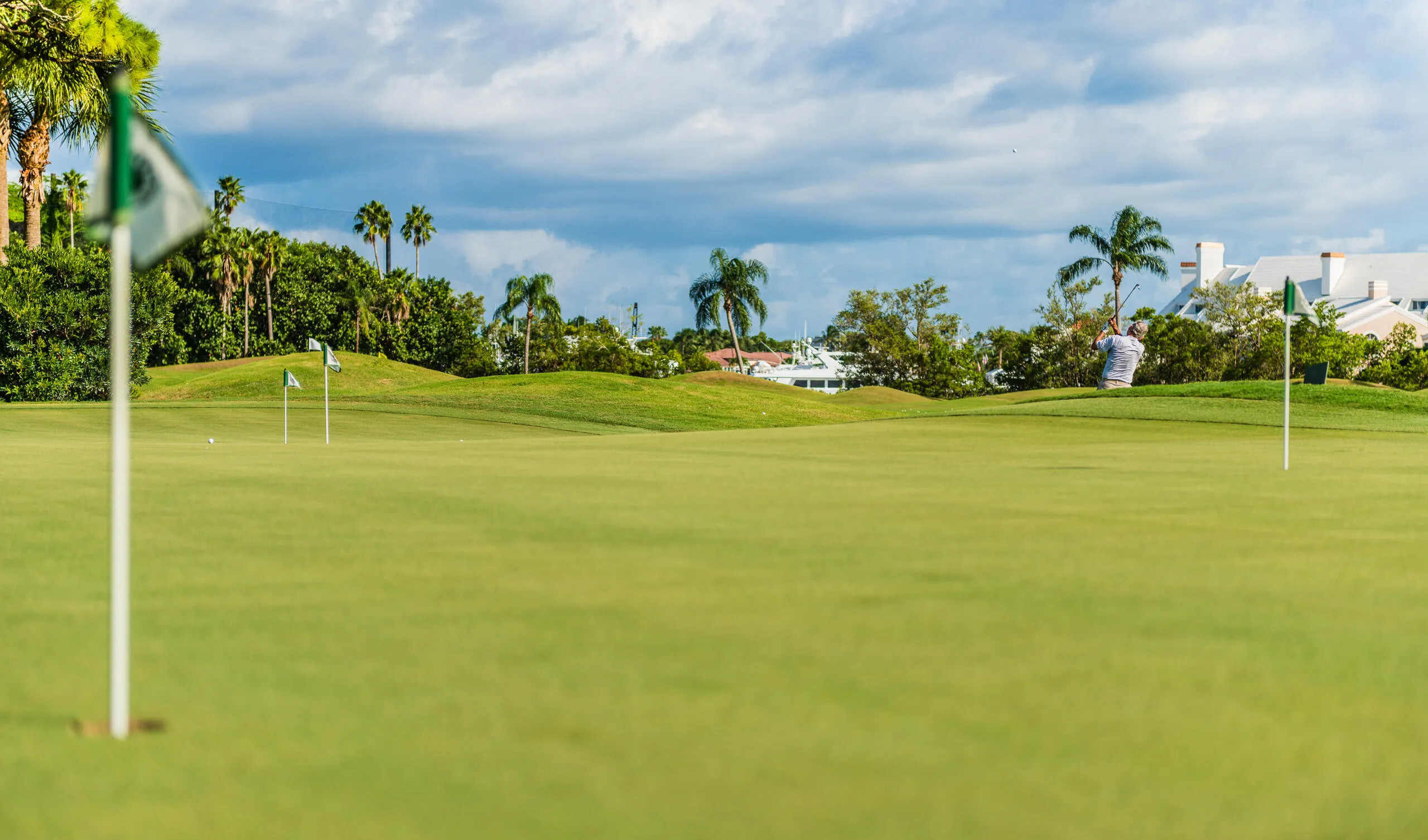 54 Holes of Golf