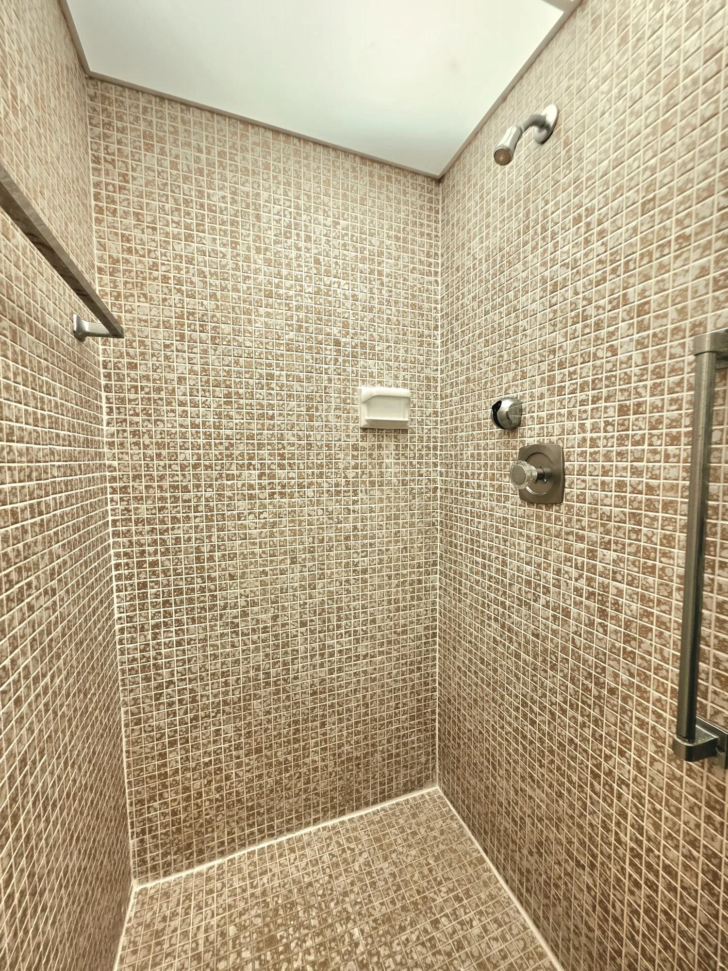 PRIMARY SHOWER