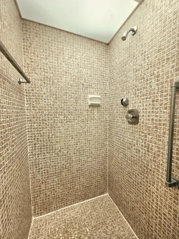 PRIMARY SHOWER