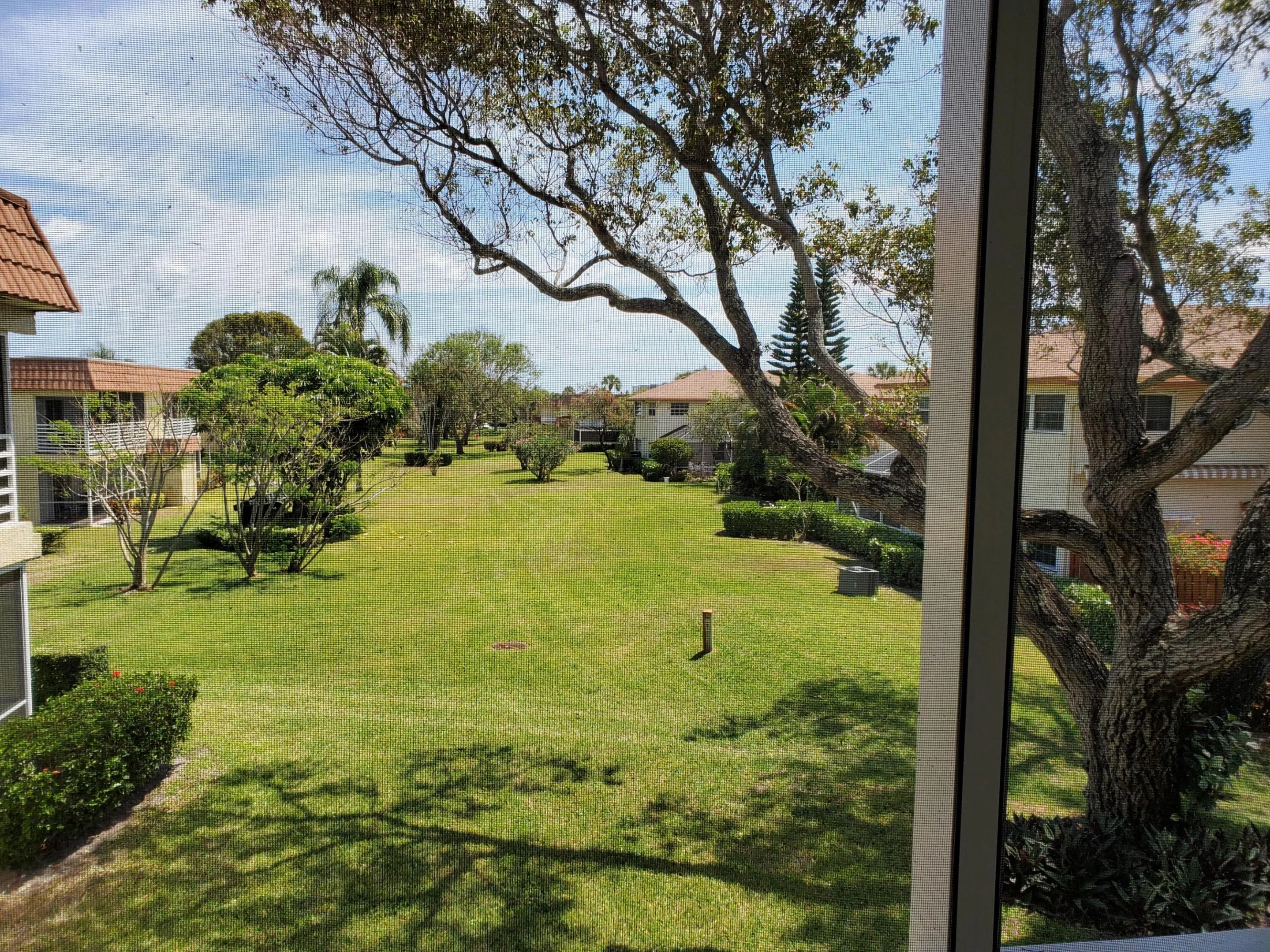 View from Patio