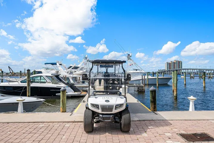 HAVN Golfcart