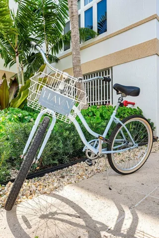 HAVN Bikes