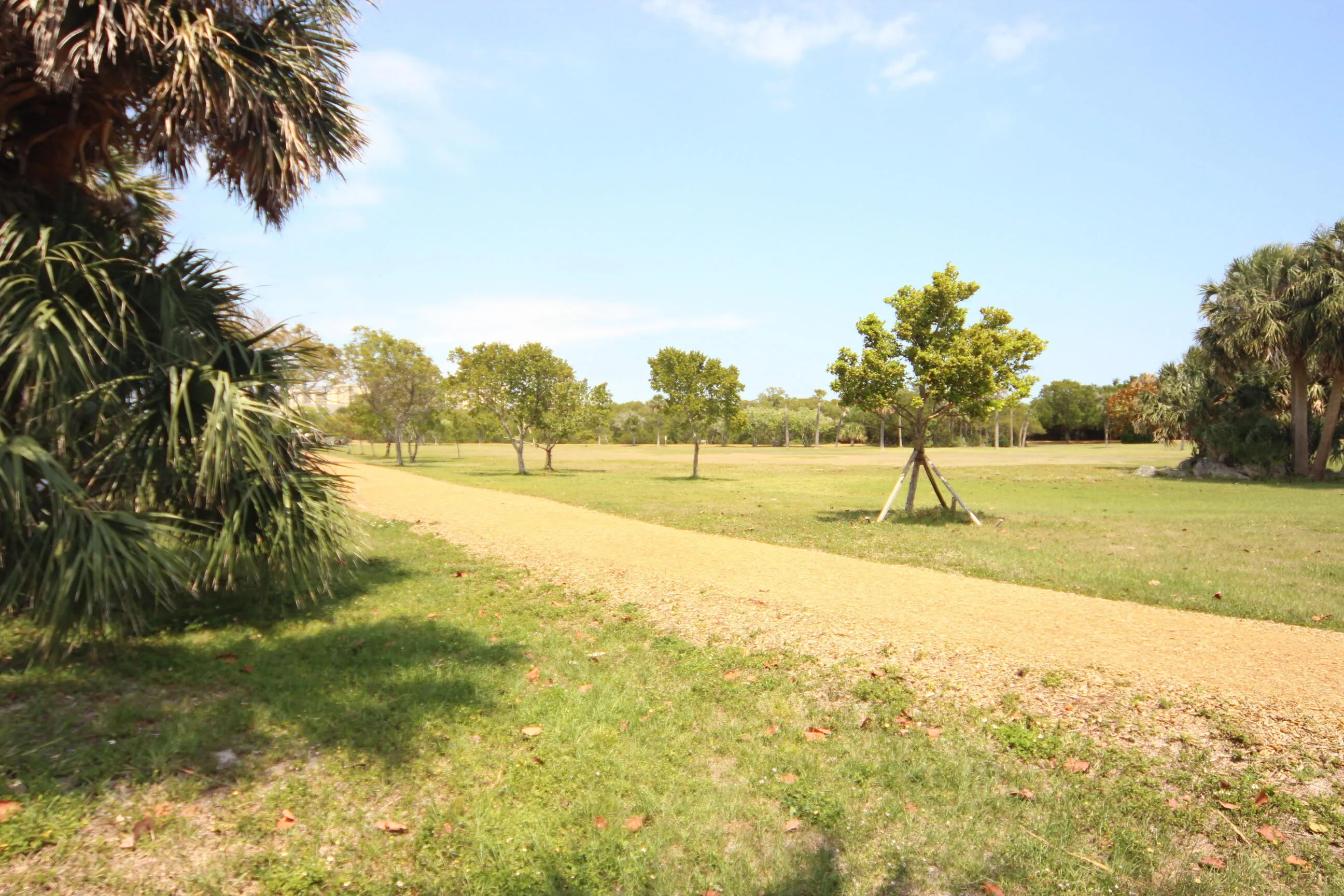 Carlin Park in Your Backyard