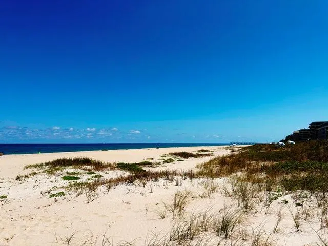 Ocean Beach