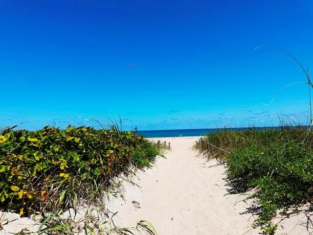 Ocean Beach