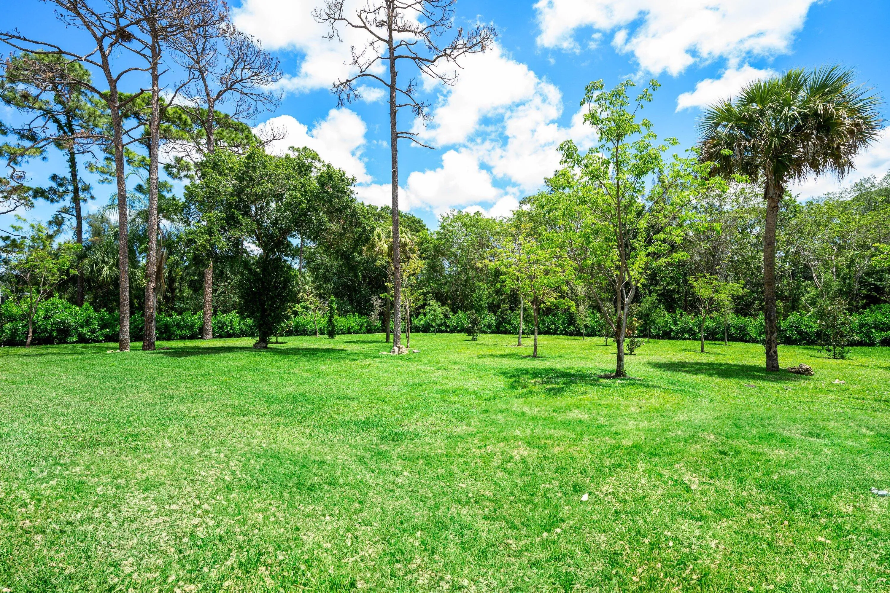 Property photo 68