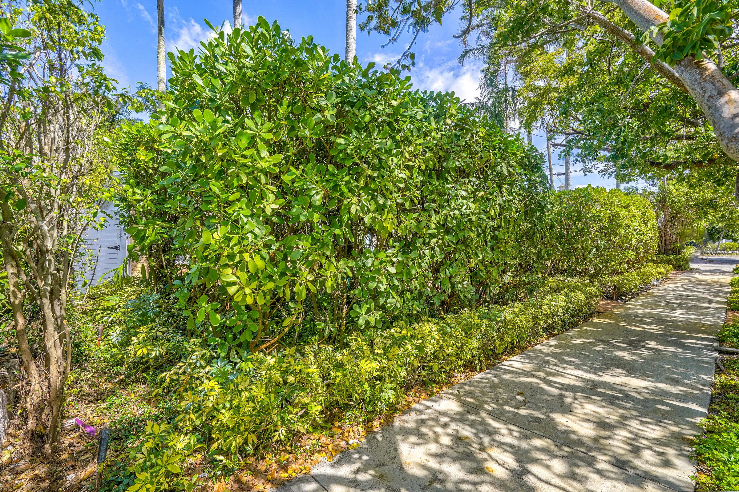 Property photo 65