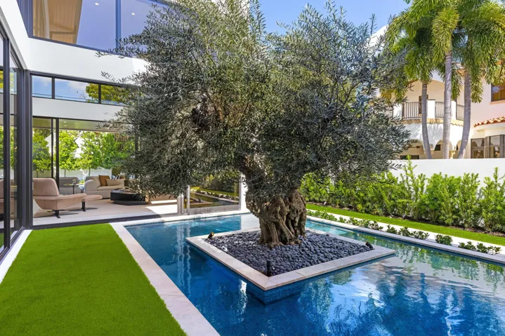 OLIVE TREE COURTYARD