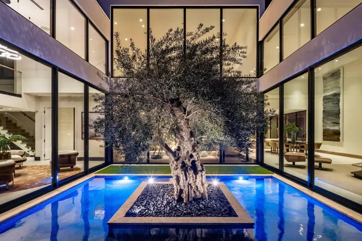 OLIVE TREE COURTYARD