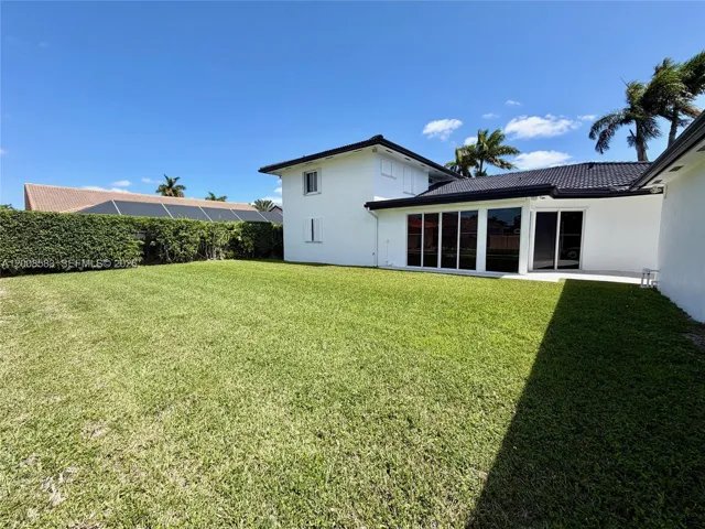 Back yard