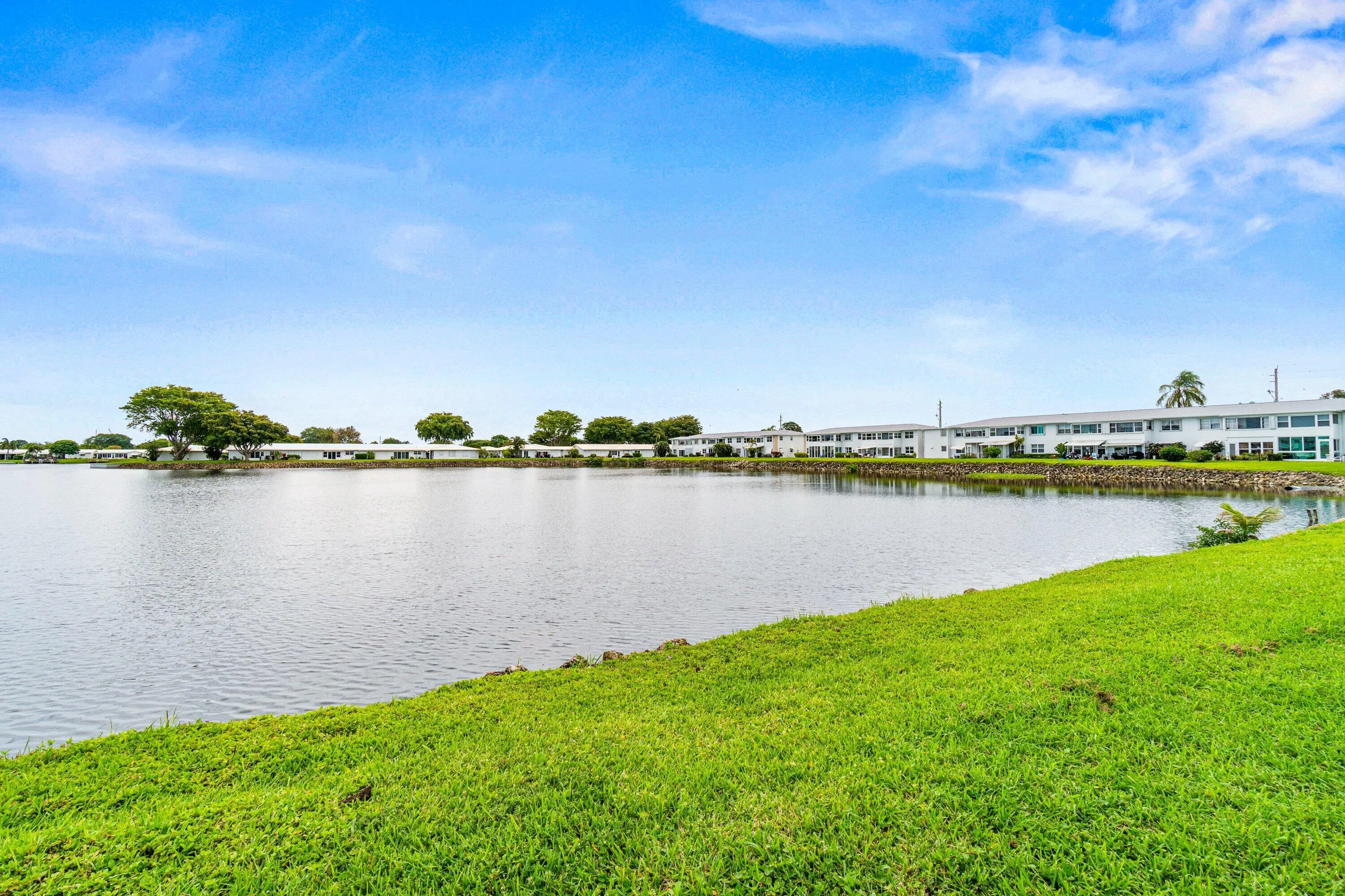 The lake