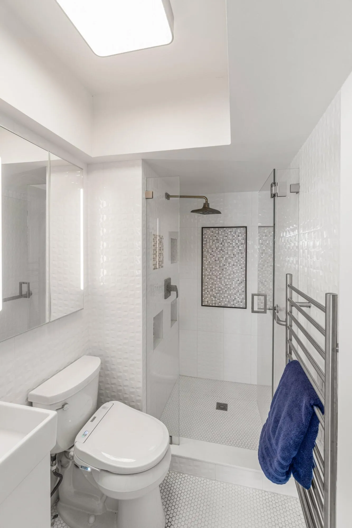 Towel warmer and TOTO toilet