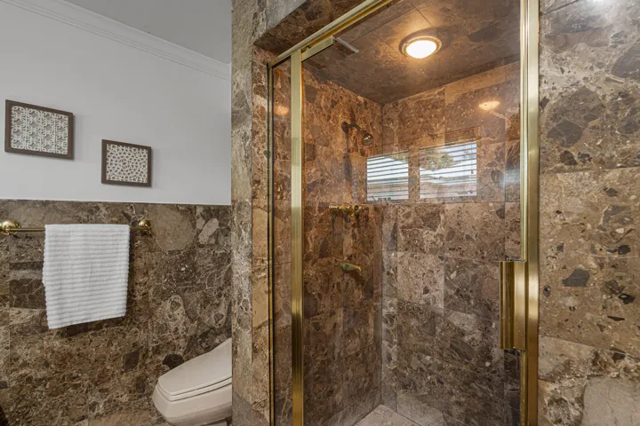 MAster Bath Shower