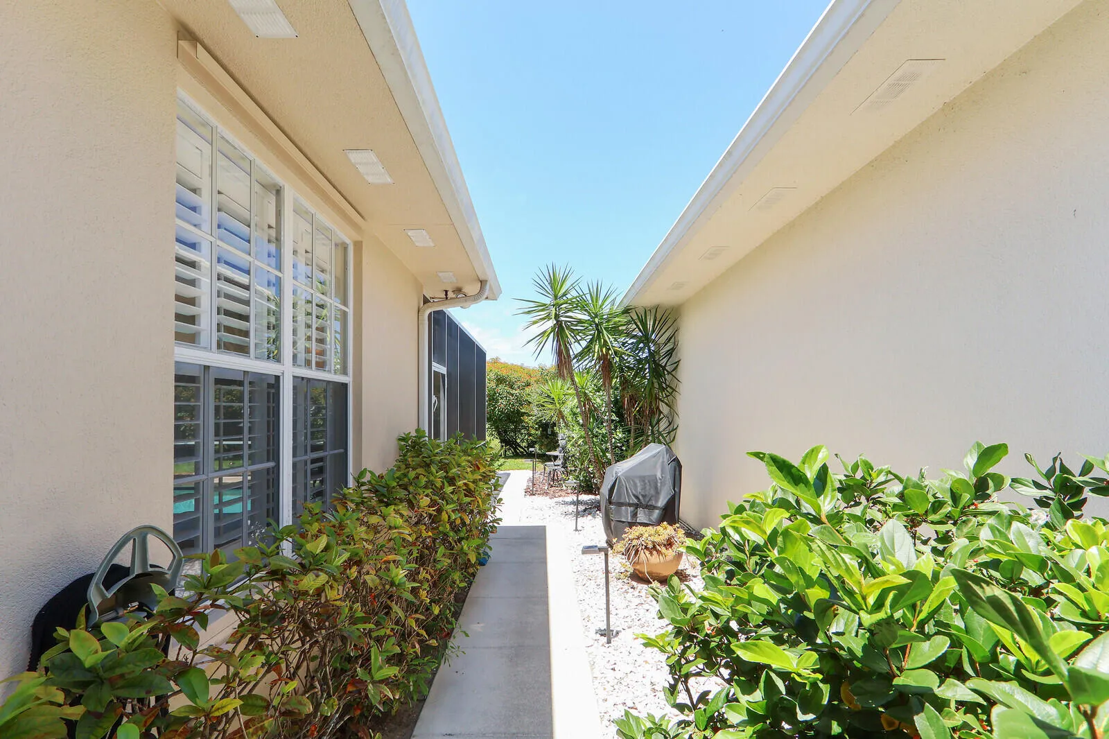 06_Image_6_mls