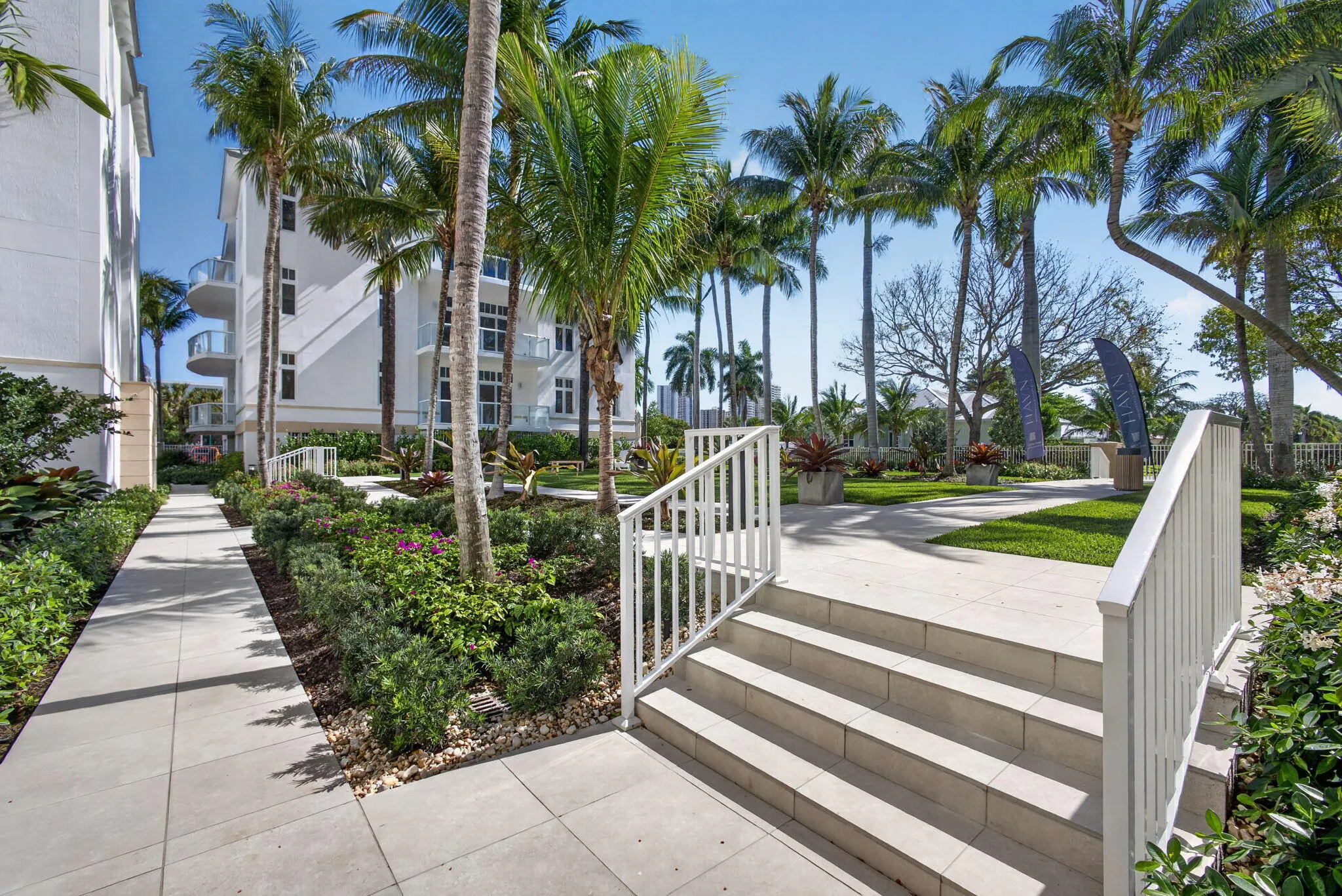 40-web-or-mls-5D1A5351