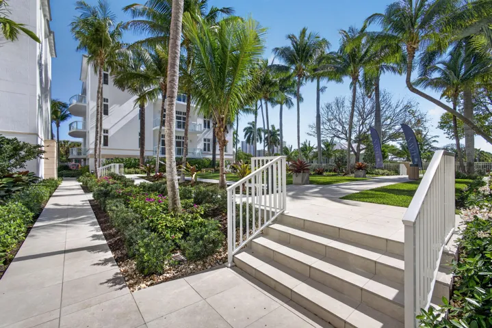 40-web-or-mls-5D1A5351