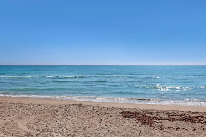 7430 S Ocean #319 (50)