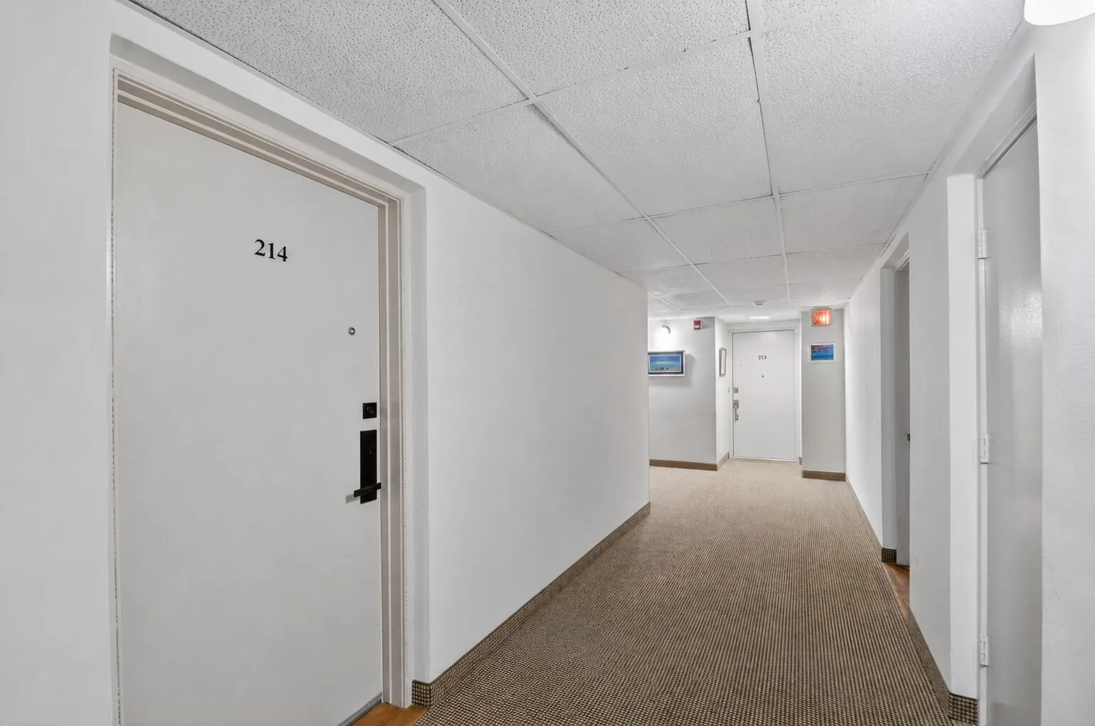 Interior hallway, front door to condo