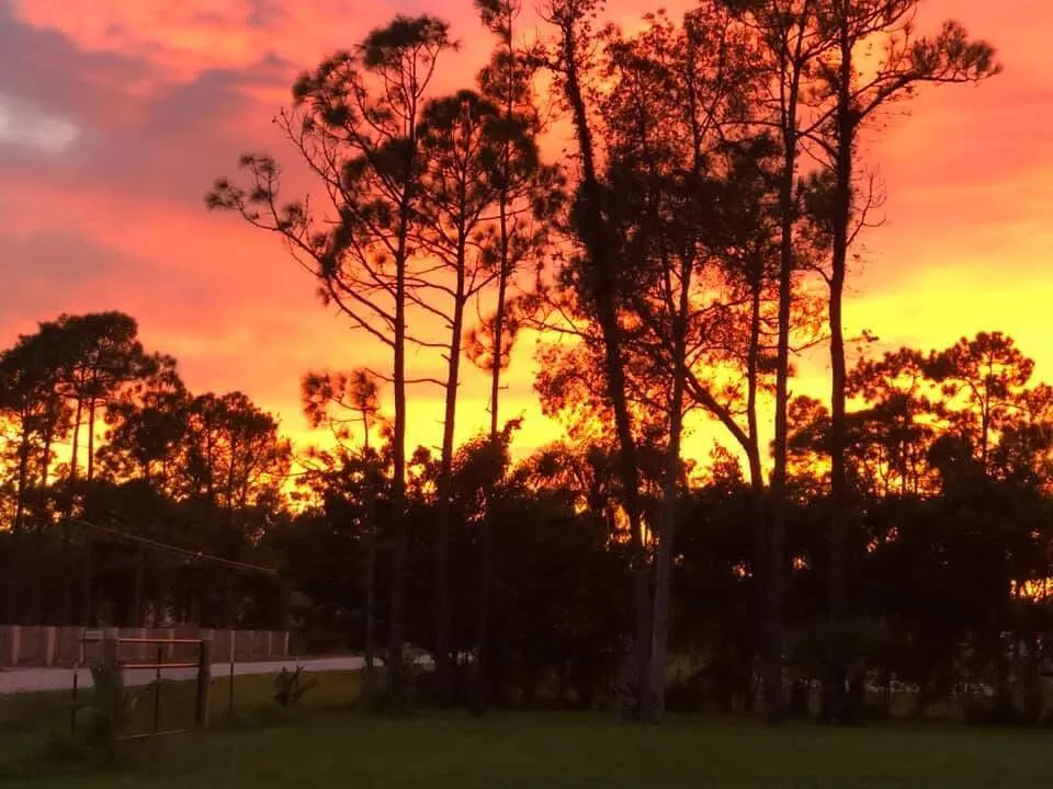 Sunset view South