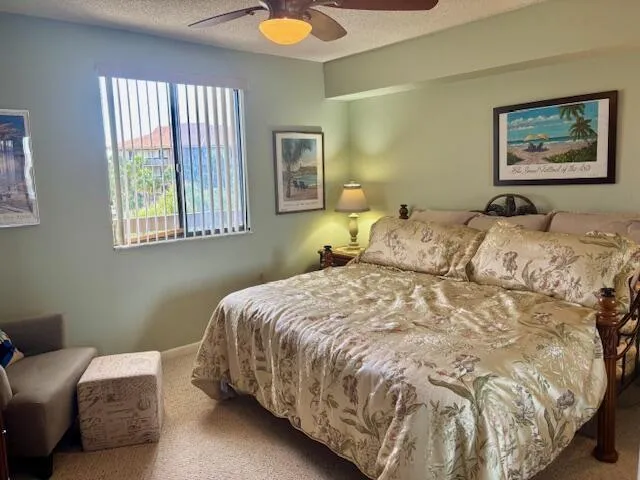 Pic-5