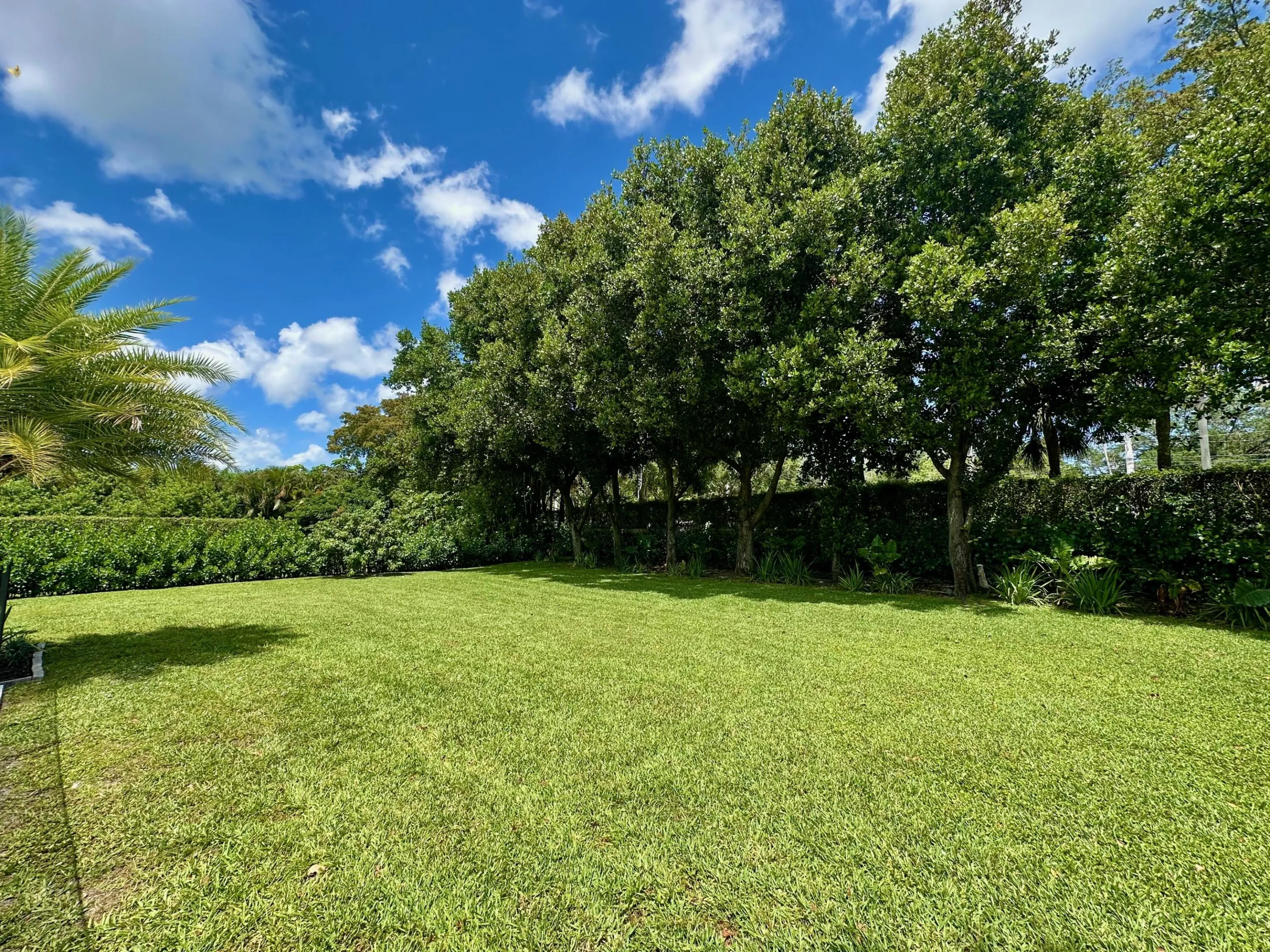 Property photo 69