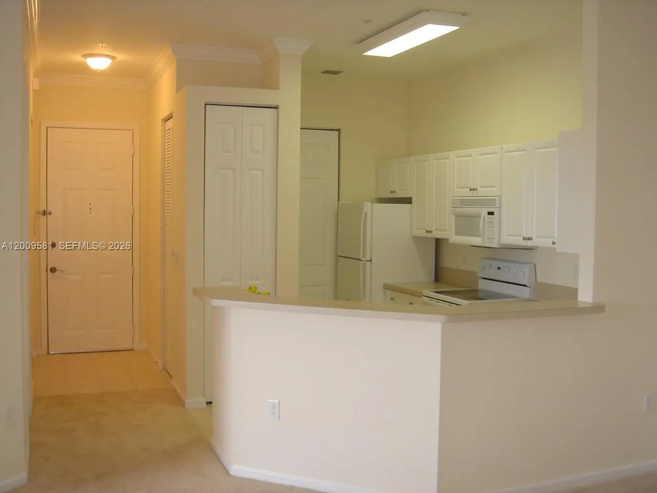 Property photo 63