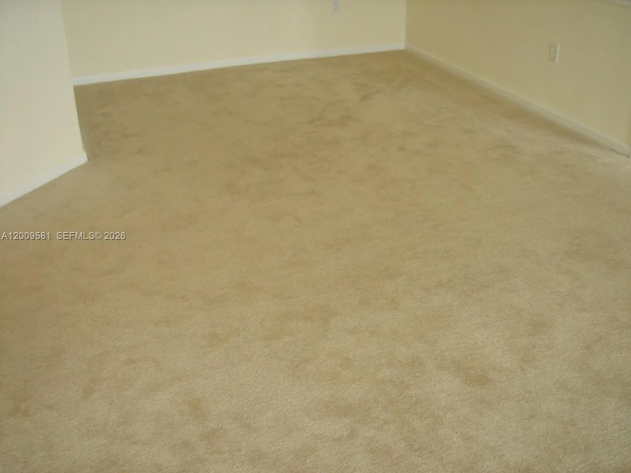 Property photo 64