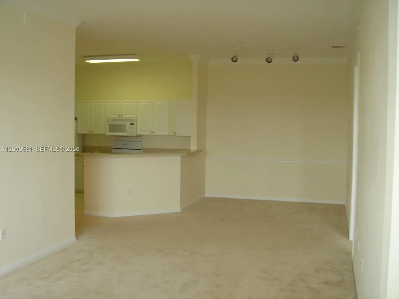 Property photo 63