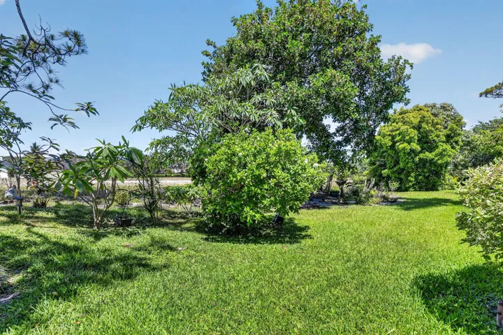 Garden green views