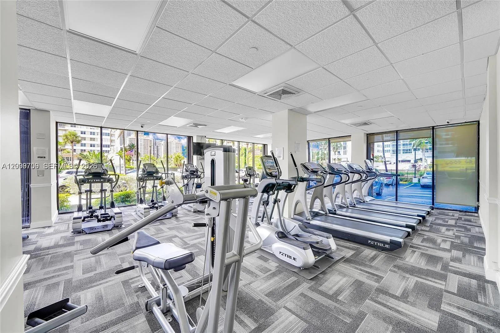 Photo 37