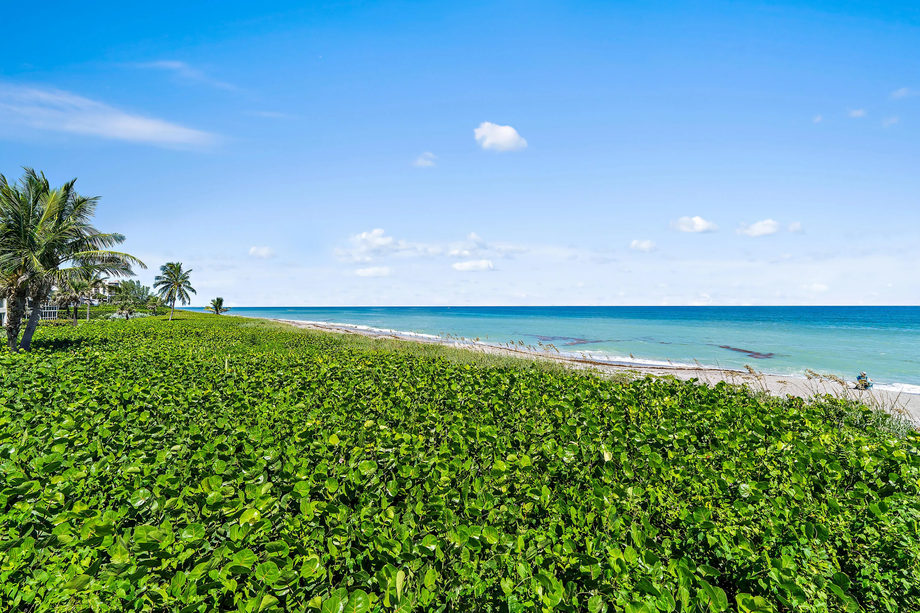 042-50CelestialWay-310-JunoBeach-FL-3340