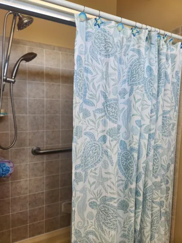 Master new curtain