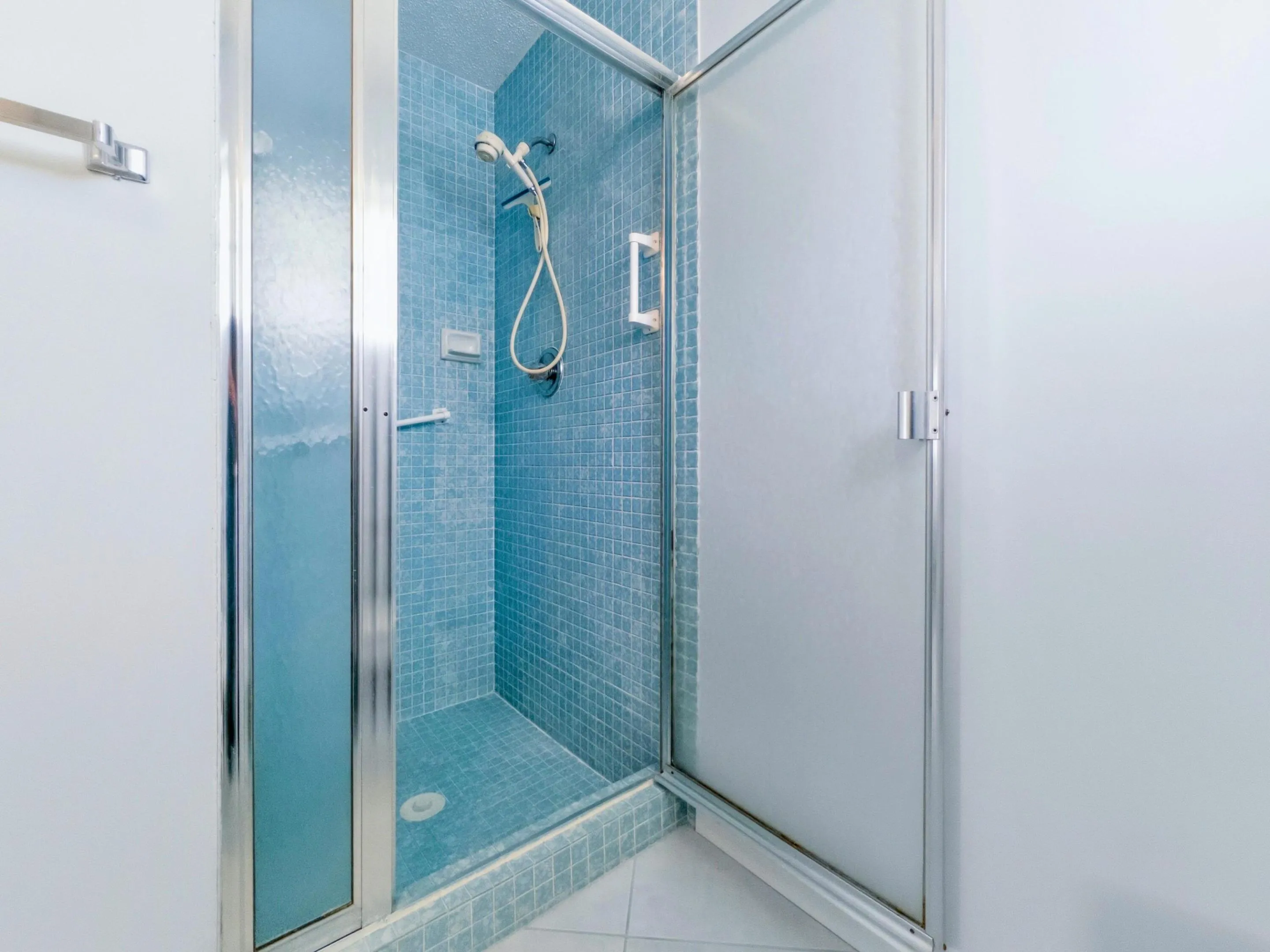 Primary Bathroom Shower