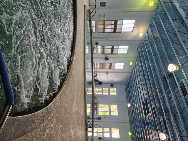 kings point pool