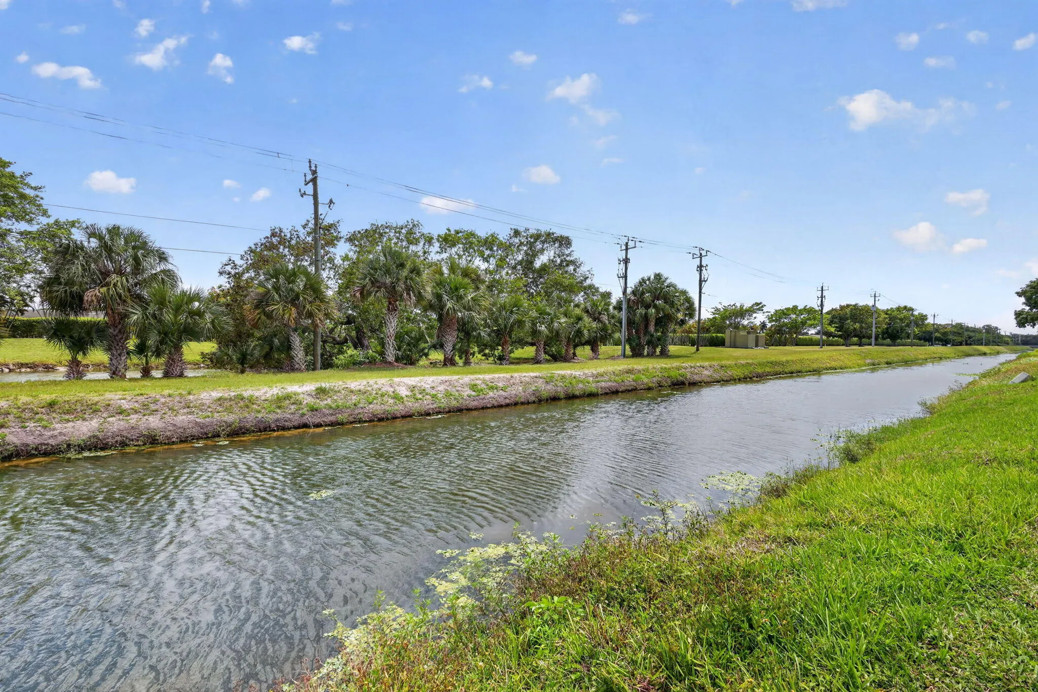43-web-or-mls-F14A4679