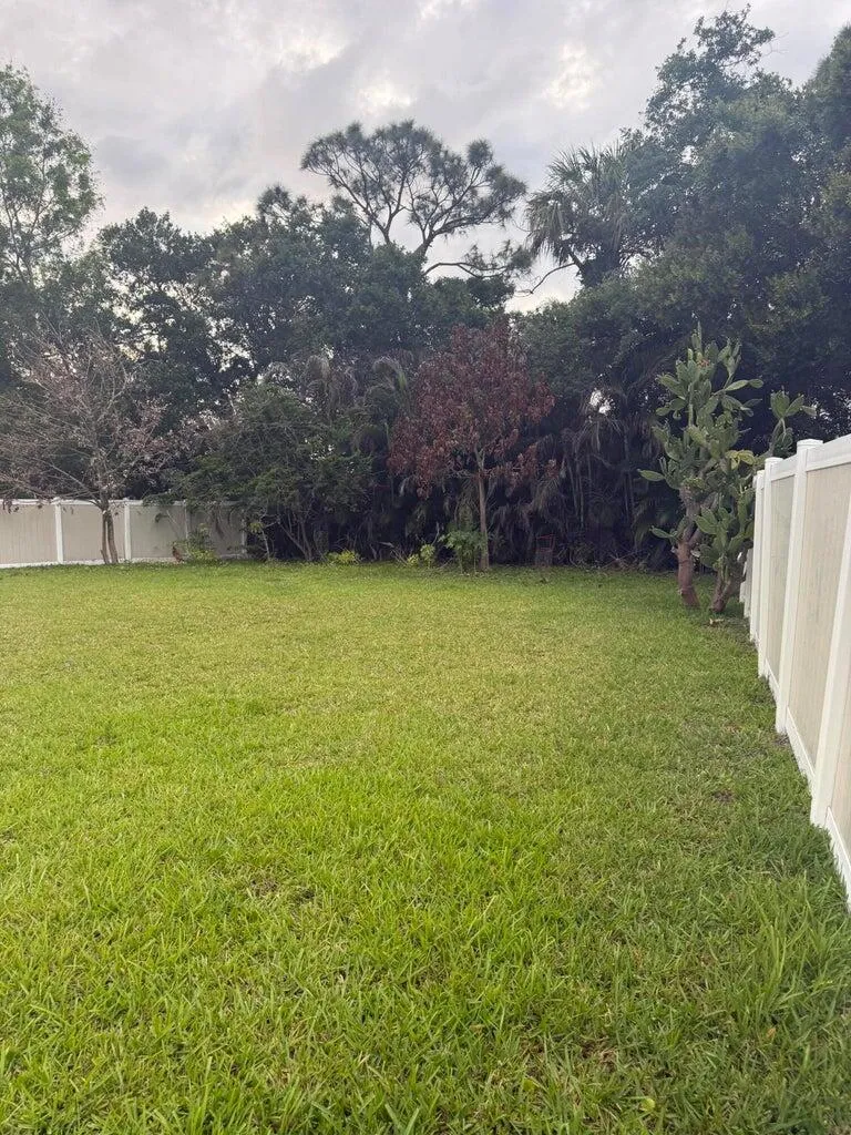 Property photo 43