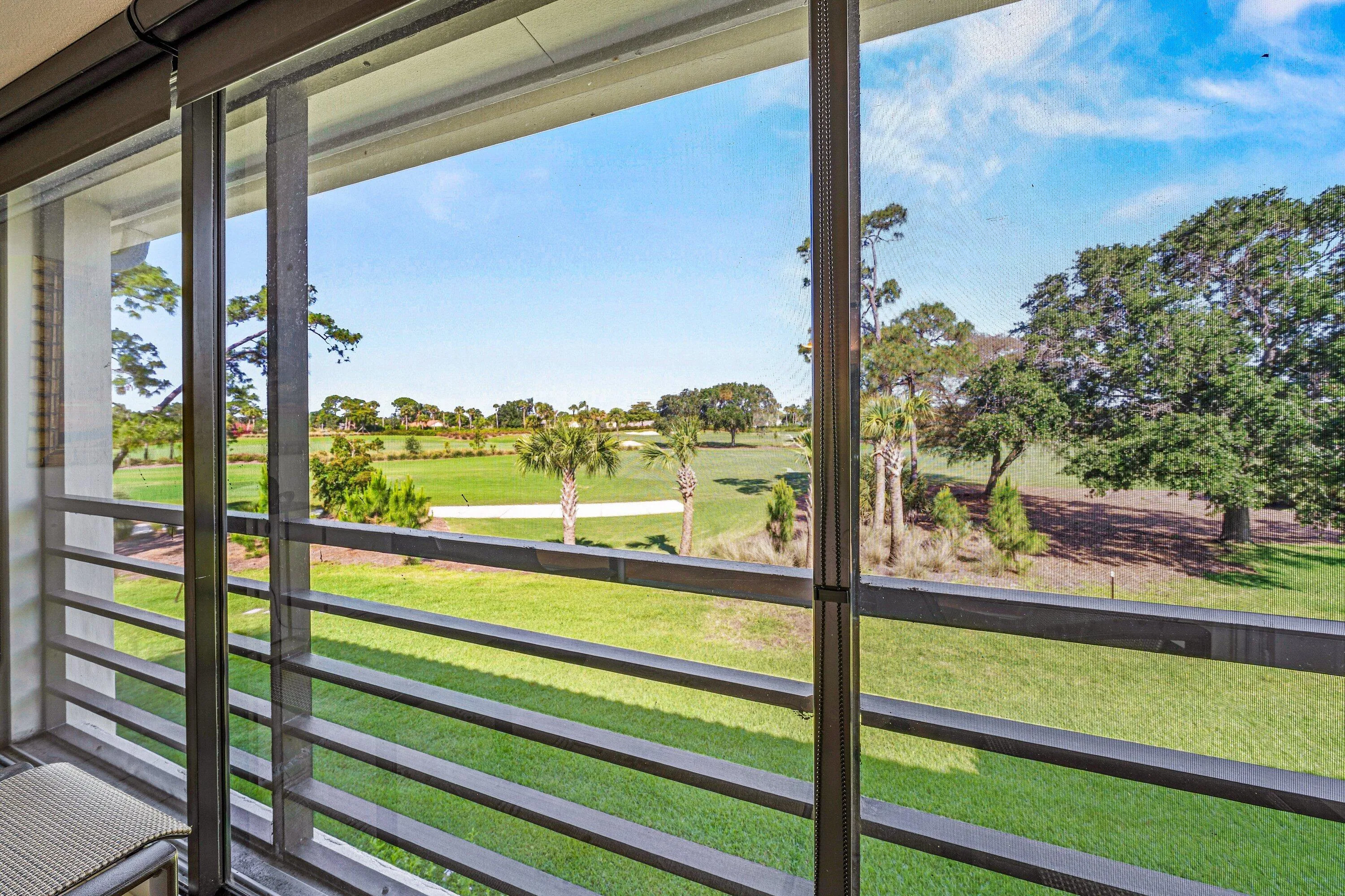 View from Porch