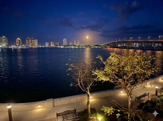 Moon View