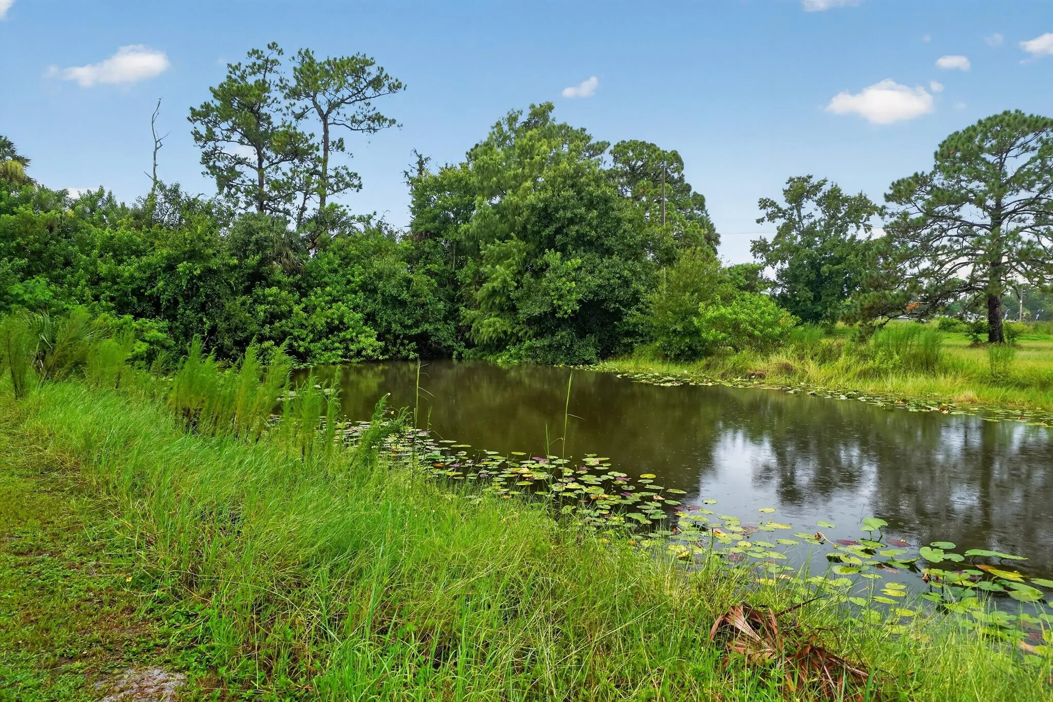 Property photo 41