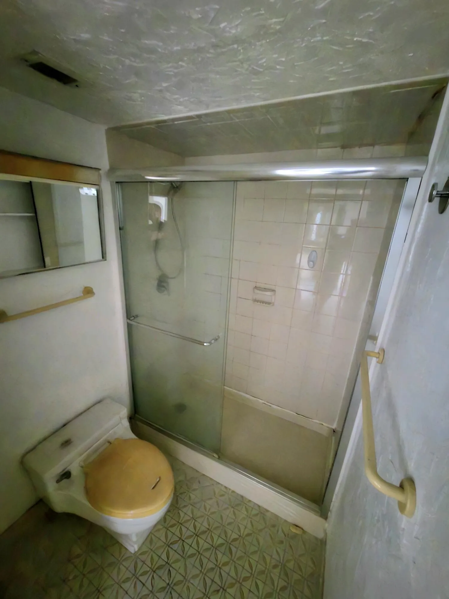 Primary Shower