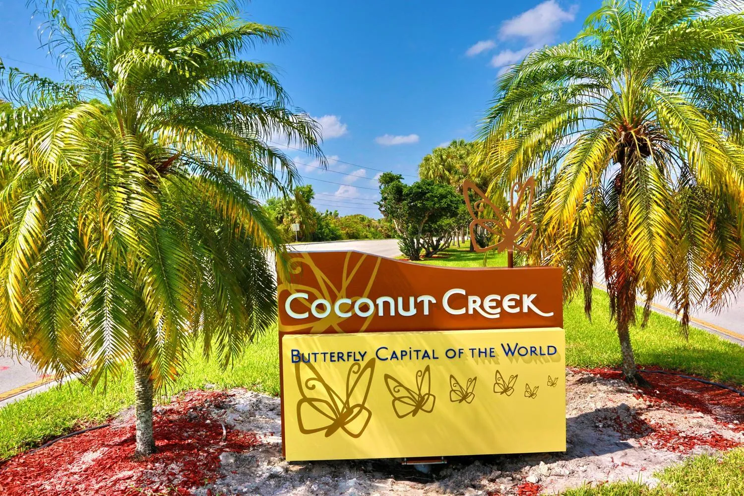 006-003-City of Coconut-1500x1000