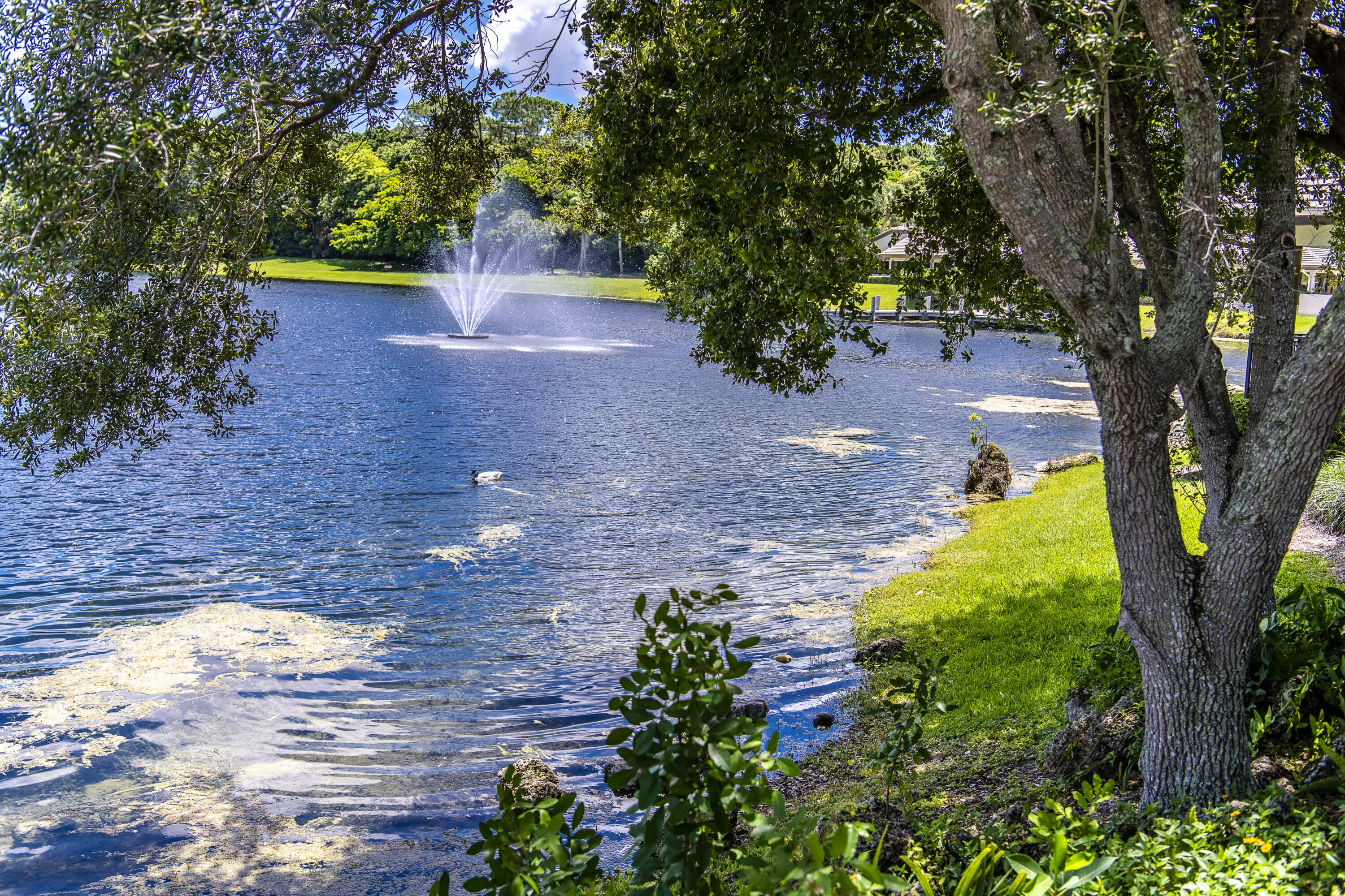 Property photo 74