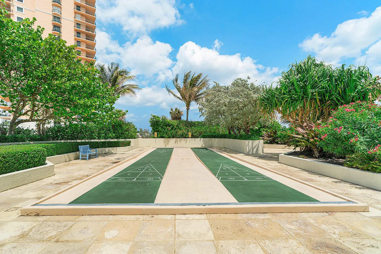 Shuffleboard