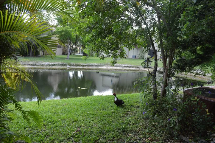 View from patio