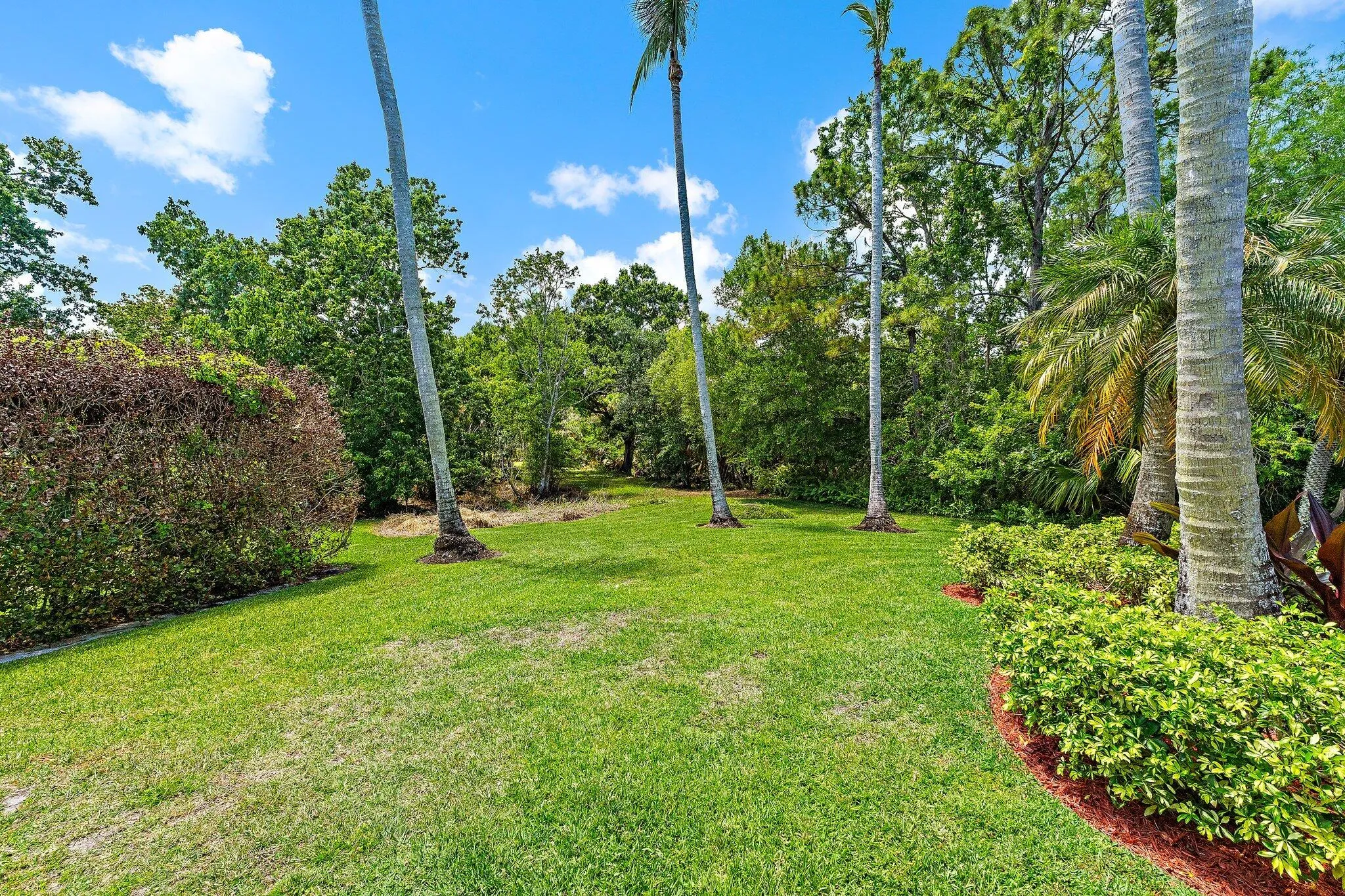 Property photo 59