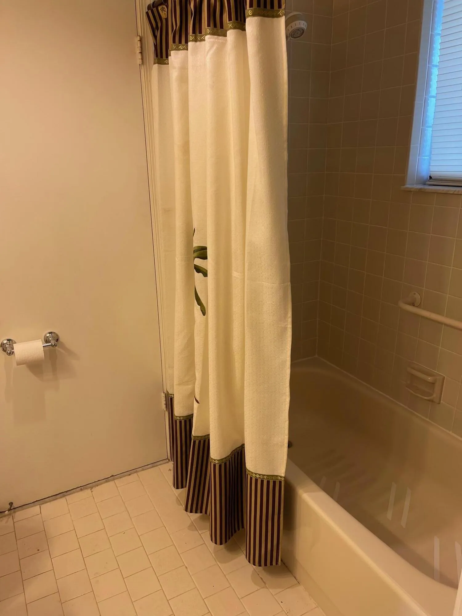 COMBO TUB/SHOWER