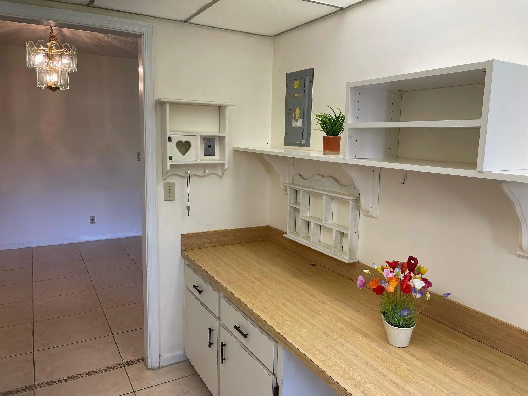 SOME BUILT IN SHELVING
